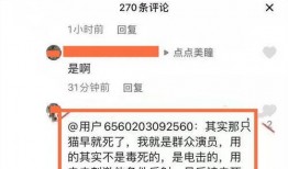 圈内群演爆料违法吗,爆料违法现象引关注