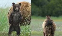 欧尼熊妈妈爆料视频,温馨家庭生活瞬间